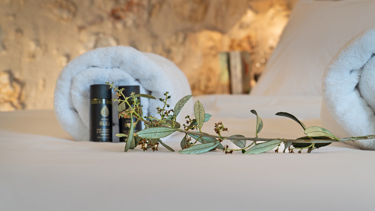 Καταφύγιο Melias Olive I